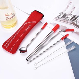 Stainless Steel Straw Gift Set