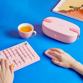Portable heating lunch box