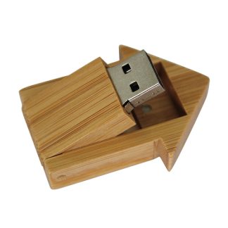 House Shape USB Flash Drive