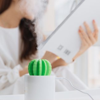 Cactus Shape Humidifier Lamp