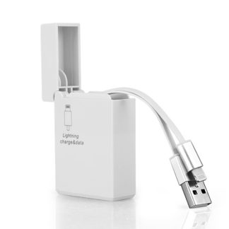 Lighter shaped retractable usb cable