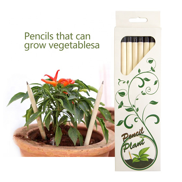 ECO Pencils